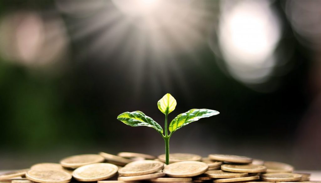 Plant a tree on coin pile with business ideas for finance, savin
